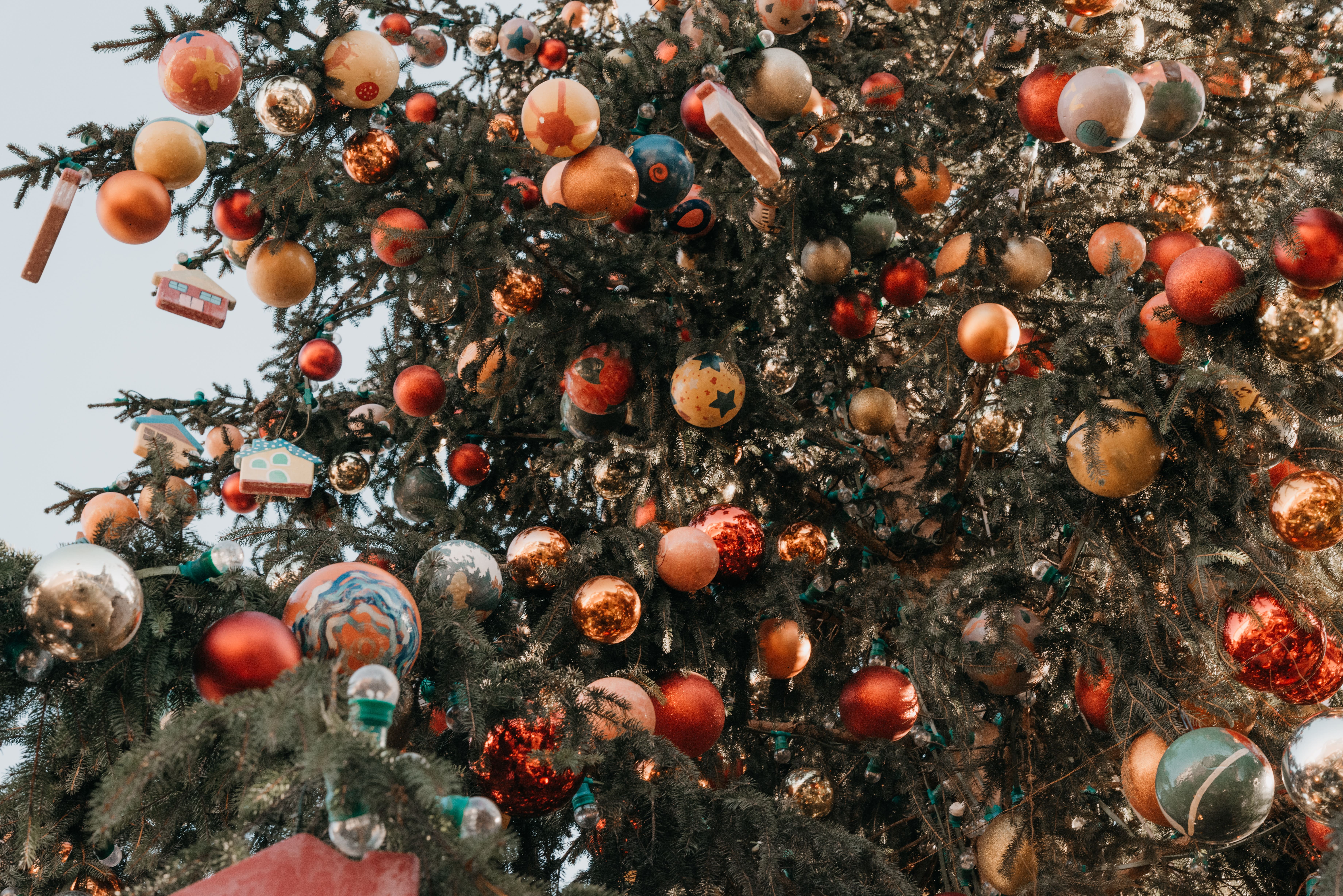 Christmas Market Courtesy Daniele Fiorentino8